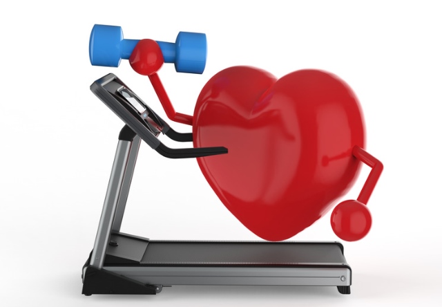 srce i trening